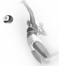 Bild von team_kaktus